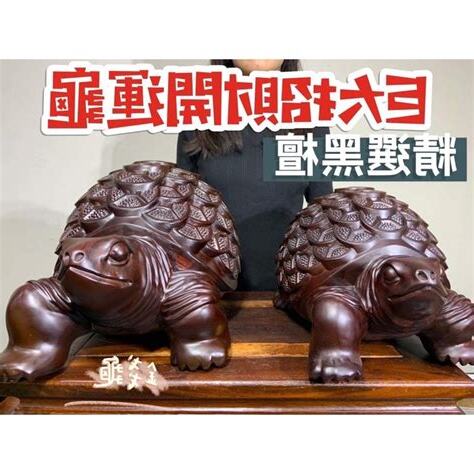 養烏龜 招財